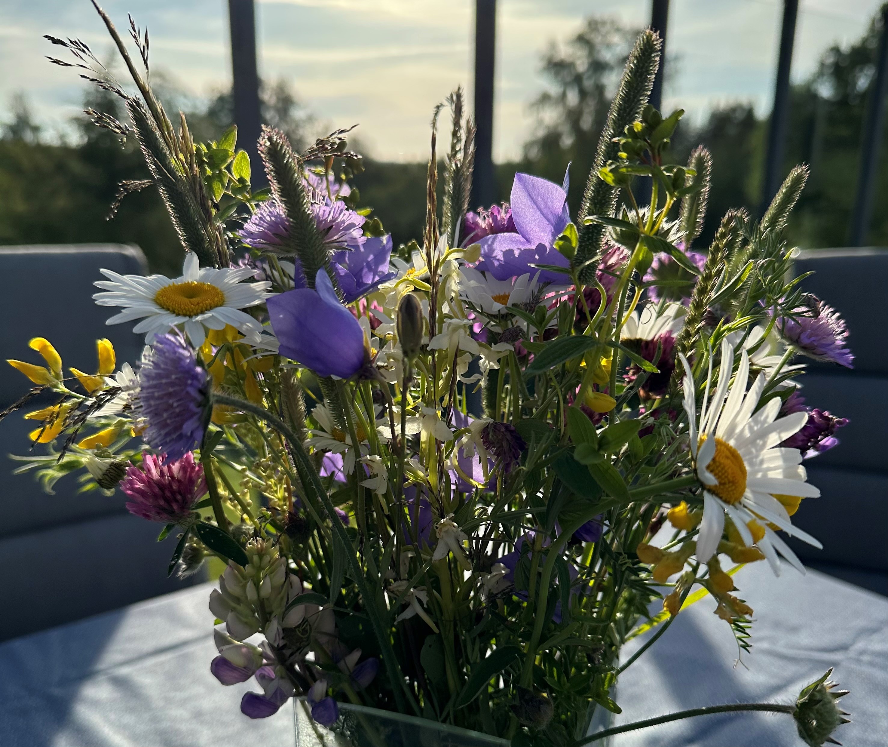 Sommarens ängsblommor i vas.