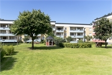 Image missing alt text