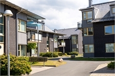 Image missing alt text