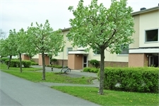 Image missing alt text