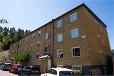 Image missing alt text