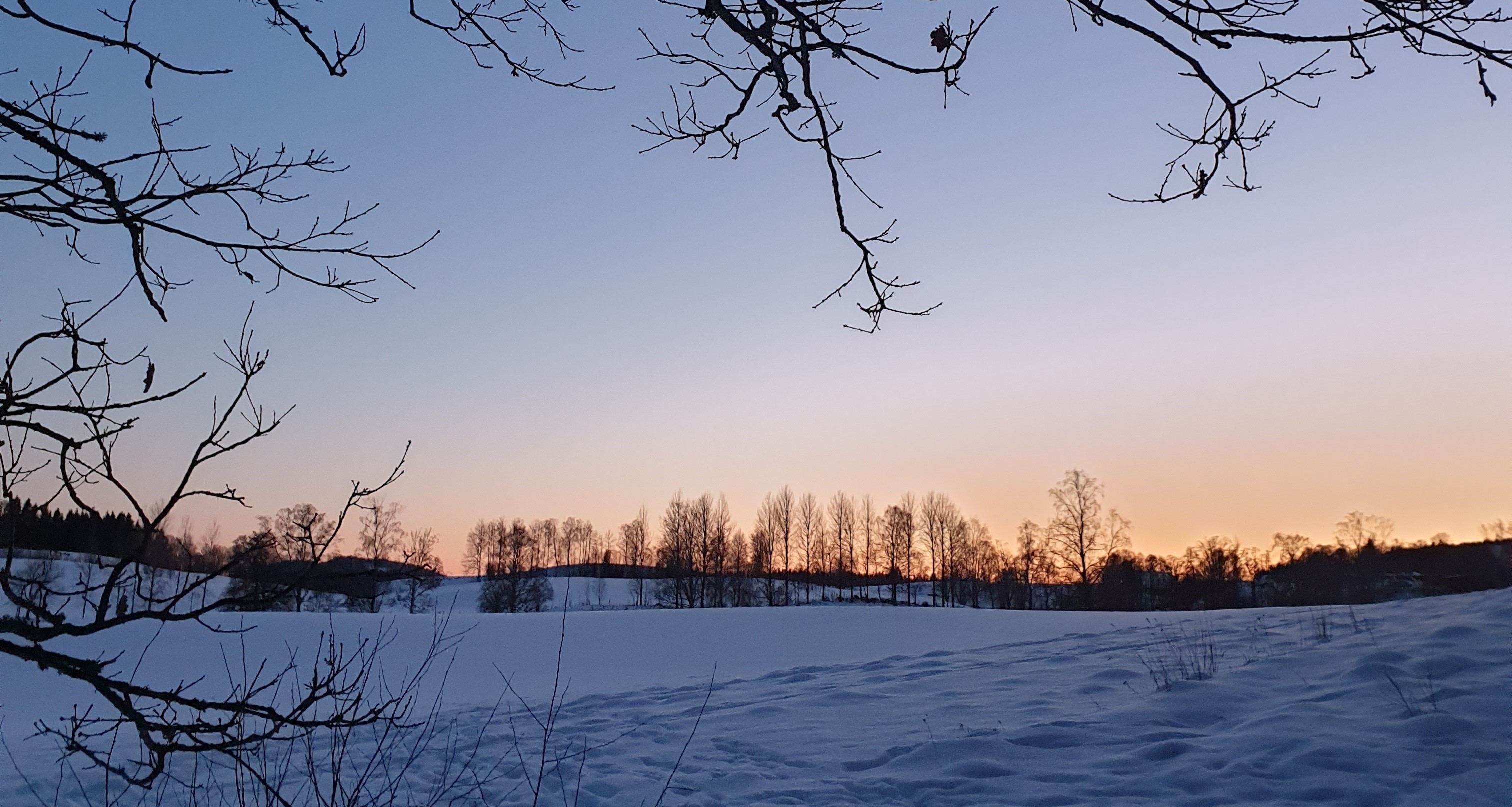 /Global/DisplayMultimediaDescription.ashx?guid=1570f314-1268-4918-963f-aa6a05b98d52