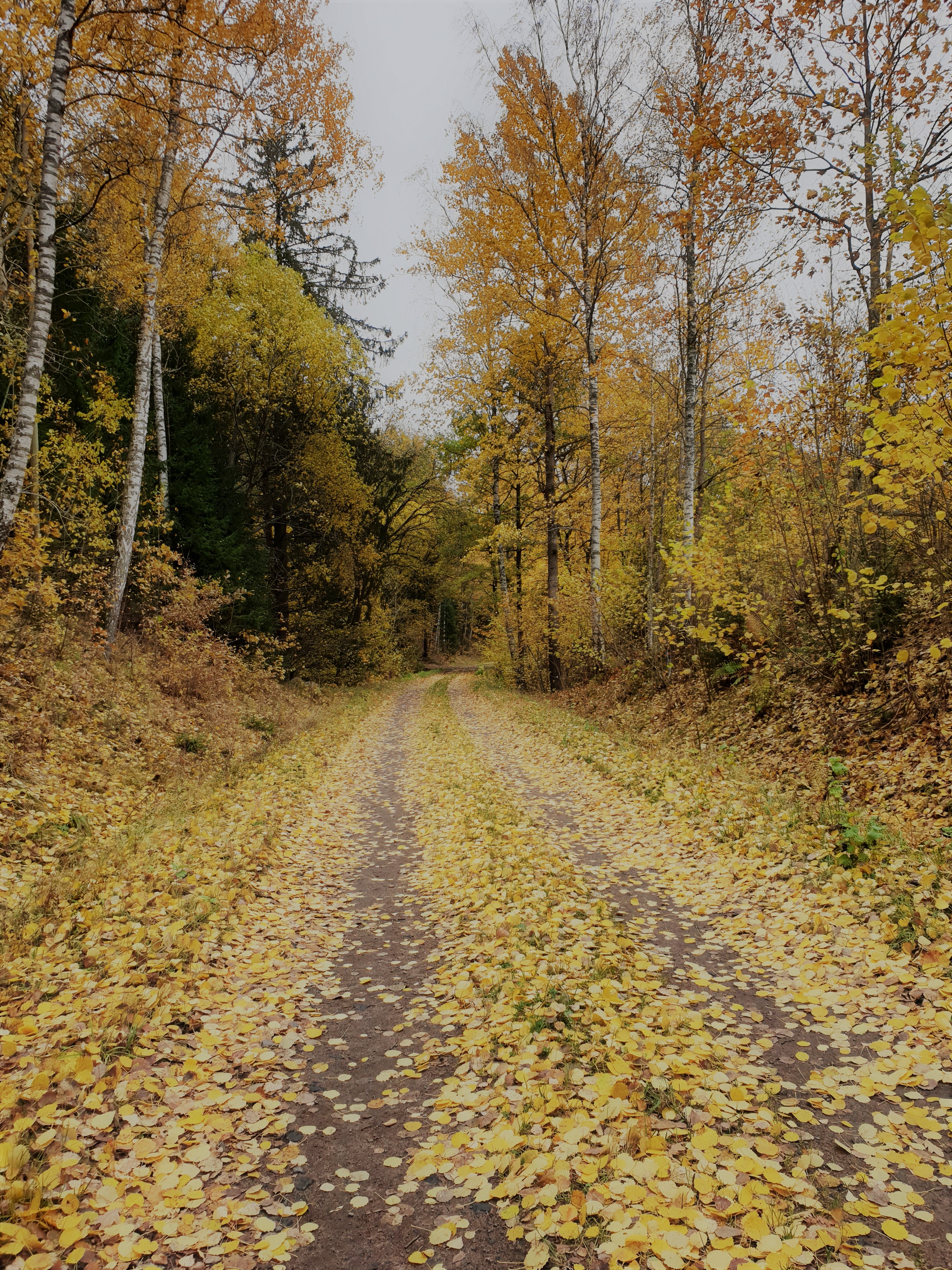 /Global/DisplayMultimediaDescription.ashx?guid=35828431-fef0-40d1-b3f6-0c87dd9cb714