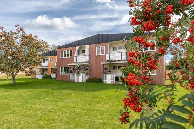 /Global/DisplayMultimediaDescription.ashx?guid=3a9ea700-4379-4869-8dd7-f5c748f0e606