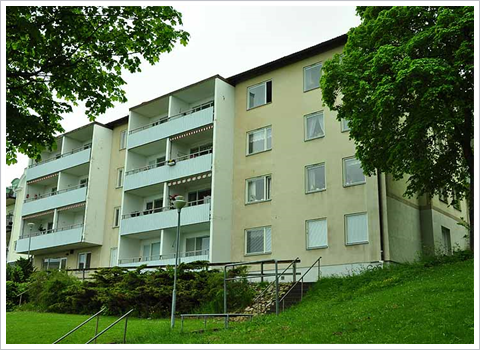 /Global/DisplayMultimediaDescription.ashx?guid=95646f88-8758-42a0-8dd1-568b4a2a5e5a