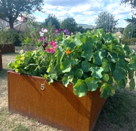 /Global/DisplayMultimediaDescription.ashx?guid=aa3dd405-43ce-4fea-8ee5-40392ea12cc0